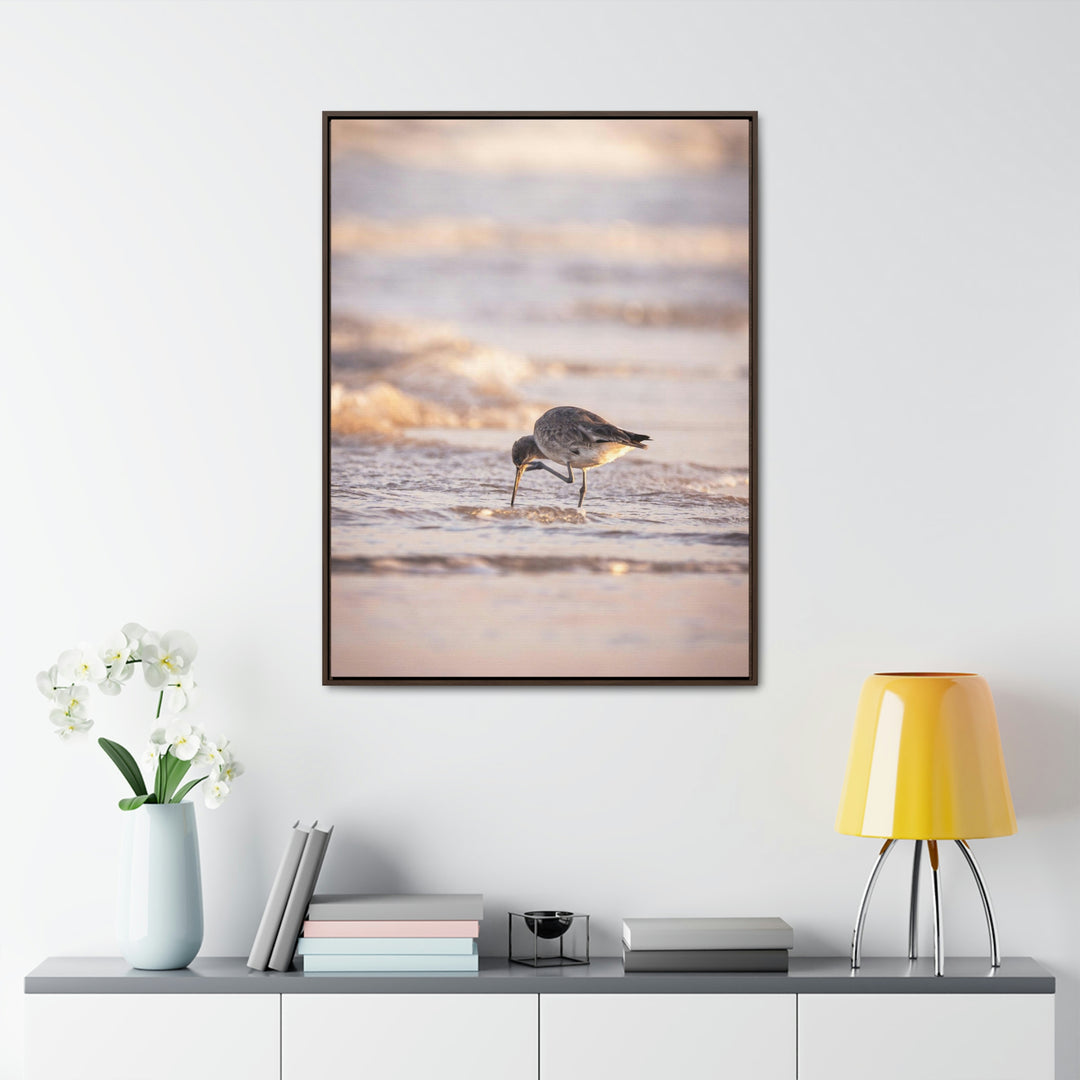 Willet Itch - Canvas with Frame