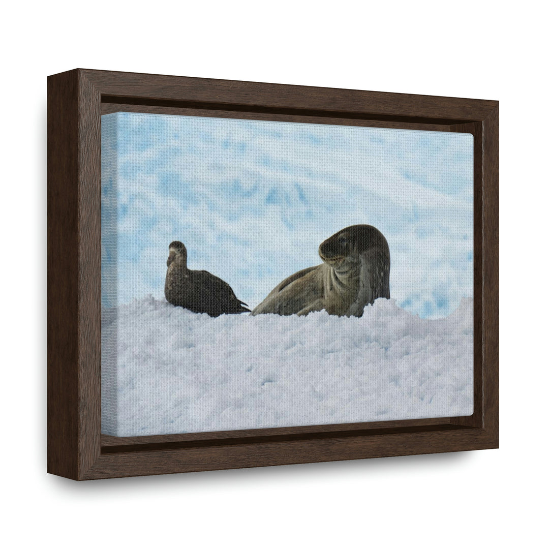 A Resting Pair - Canvas with Frame