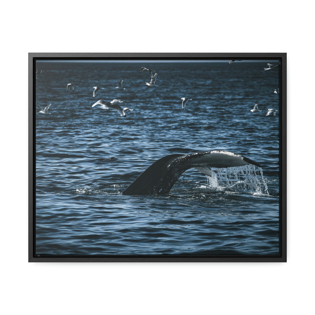 Feeding Tail - Canvas with Frame