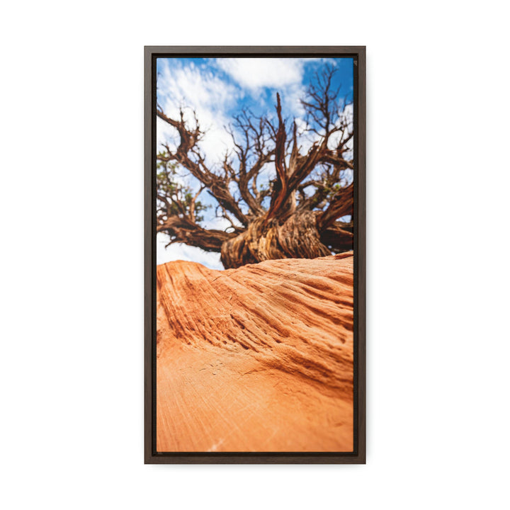 Desert Reach - Canvas with Frame