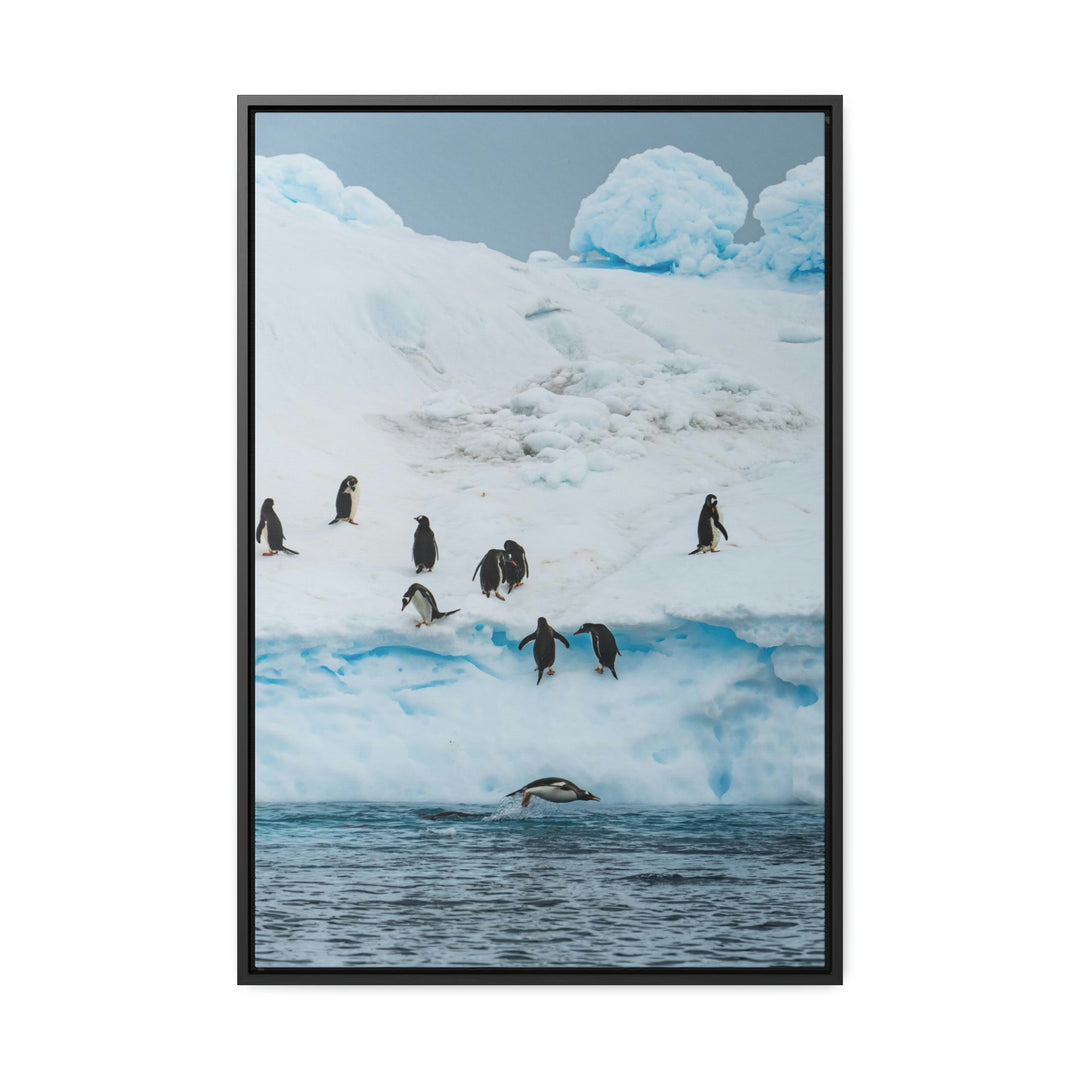 Porpoising Penguin - Canvas with Frame