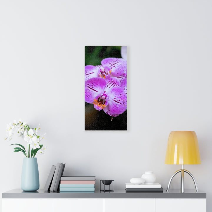 Orchid in Pink - Canvas