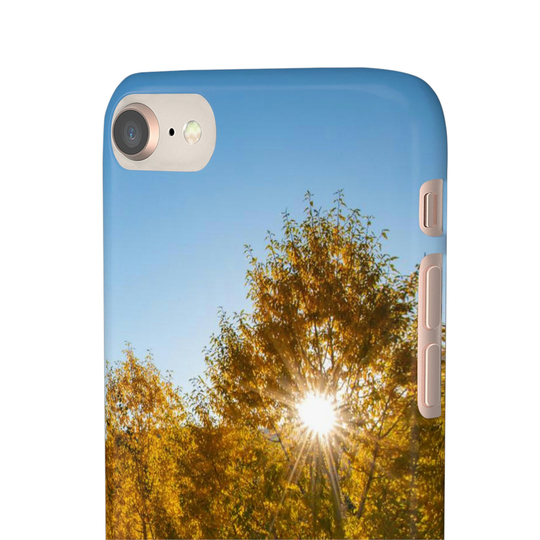 Sun Through the Aspens - Phone Case