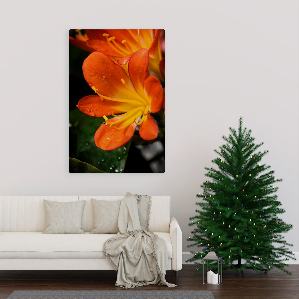 Bright Bush Lily - Canvas