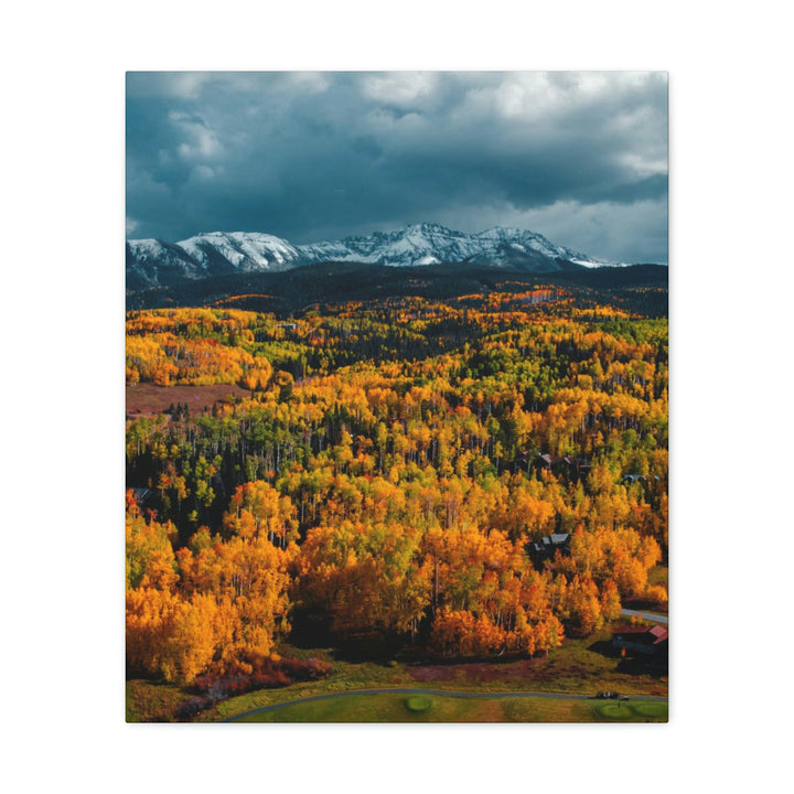 Golds of Autumn - Canvas