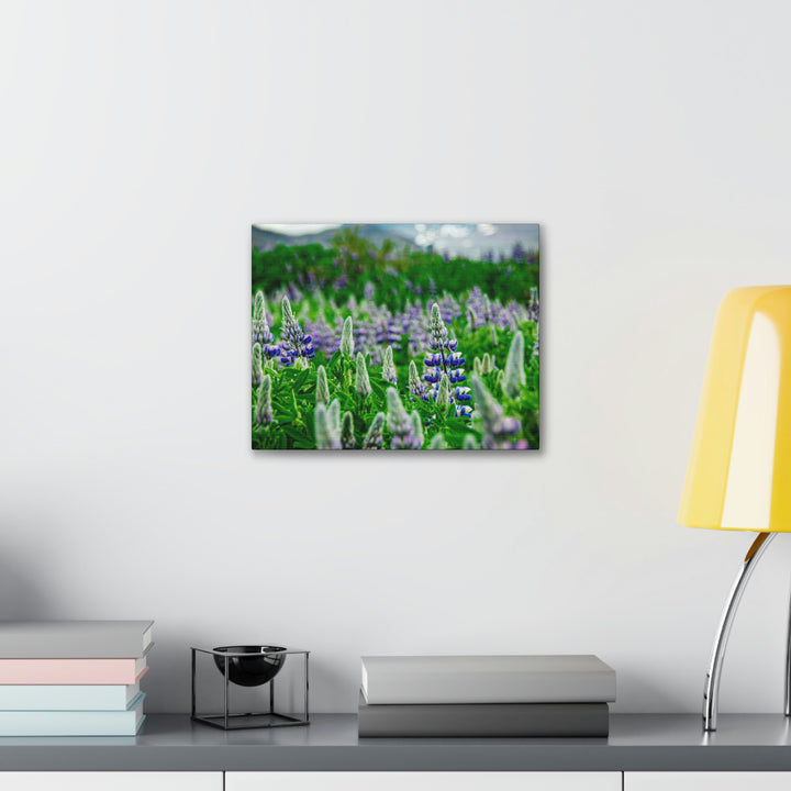 Glowing Lupin with Mountains - Canvas