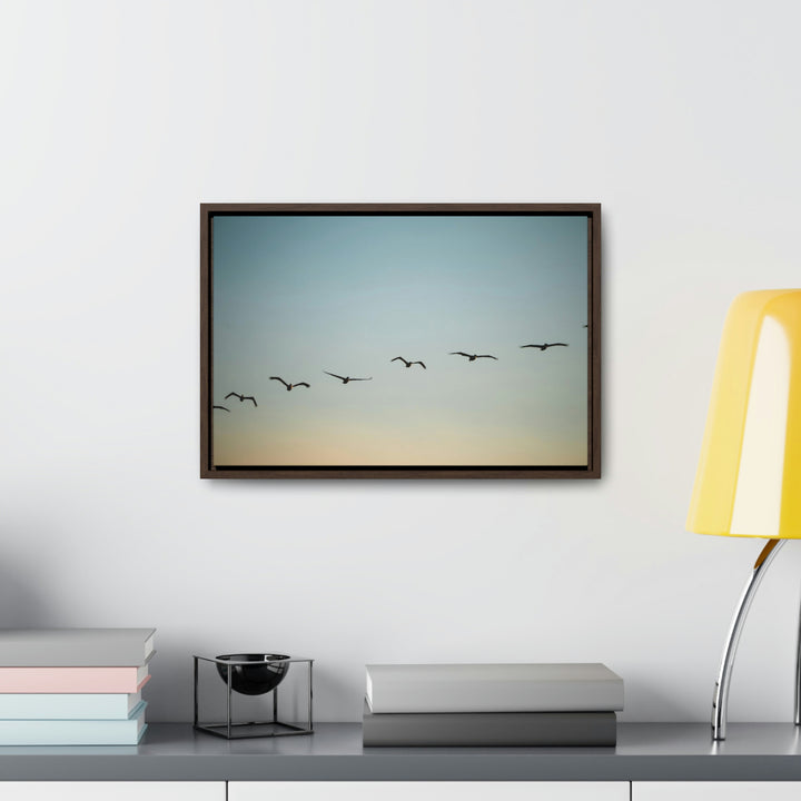 Brown Pelicans in Flight - Canvas with Frame