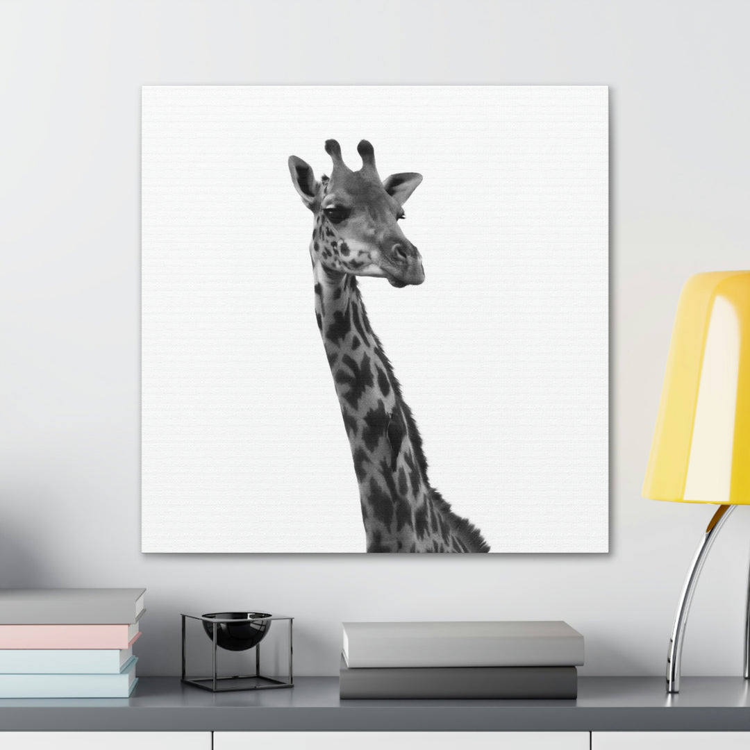 Giraffe Portrait in Black and White  - Canvas