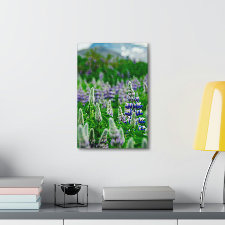 Glowing Lupin with Mountains - Canvas