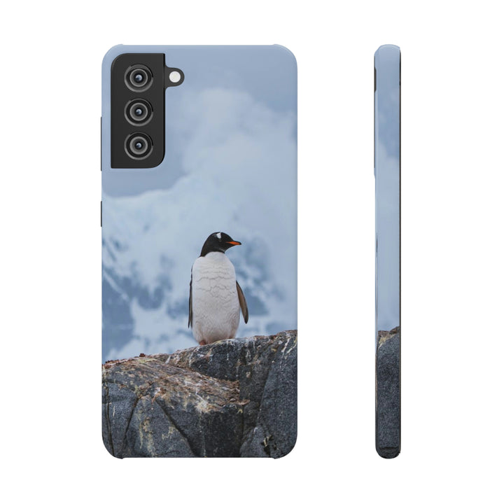 Poised Penguin - Phone Case