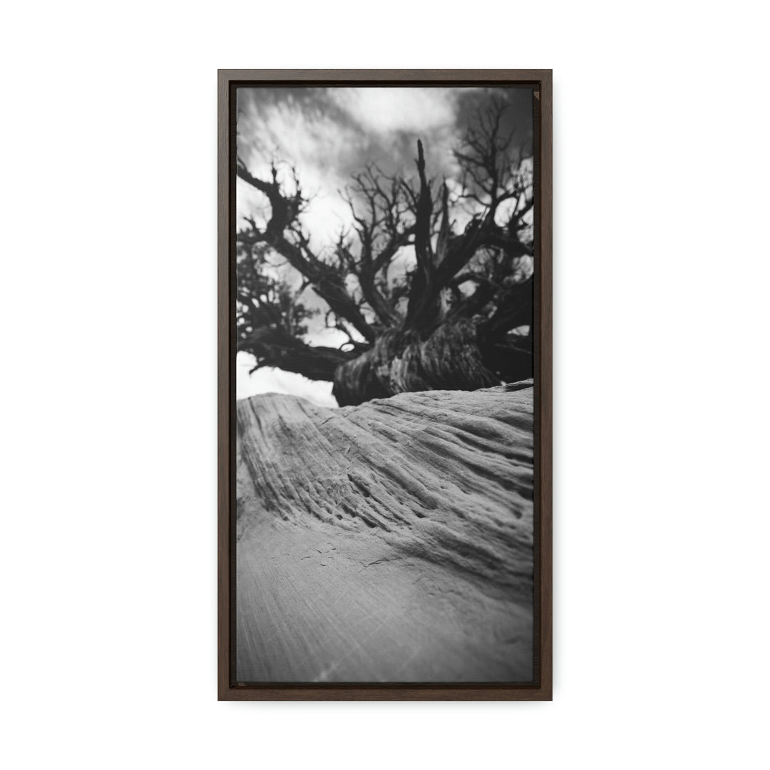 Desert Reach in Black and White - Canvas with Frame