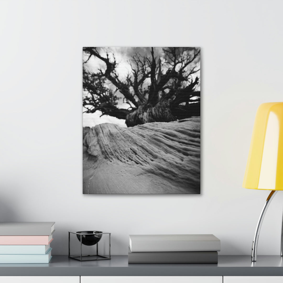 Desert Reach in Black and White - Canvas