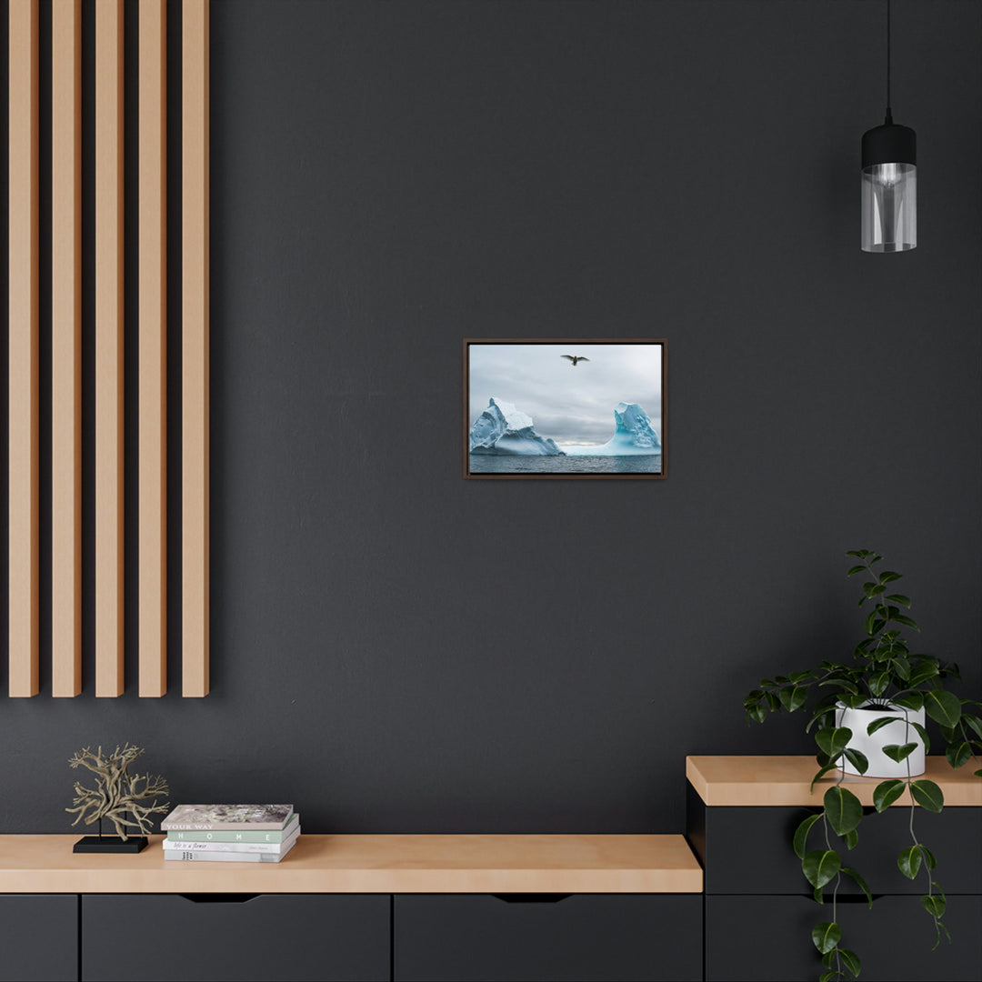 Antarctic Flight - Canvas with Frame