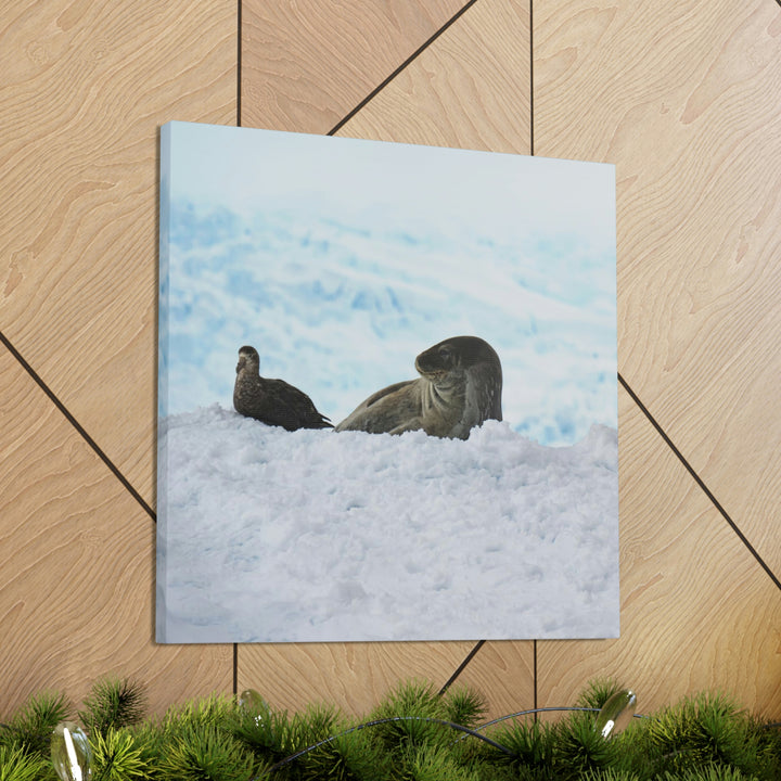 A Resting Pair - Canvas