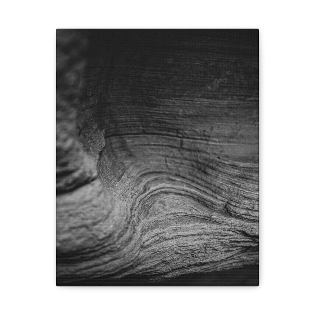 Sedimentary Rock Curves in Black and White - Canvas