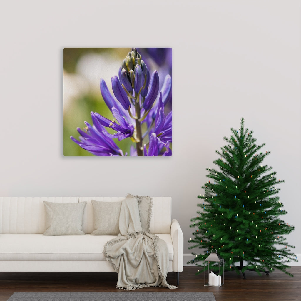 Camas in Bloom - Canvas