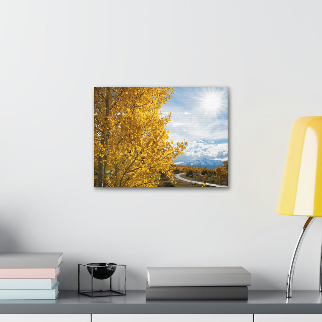 Golden Sunshine - Canvas