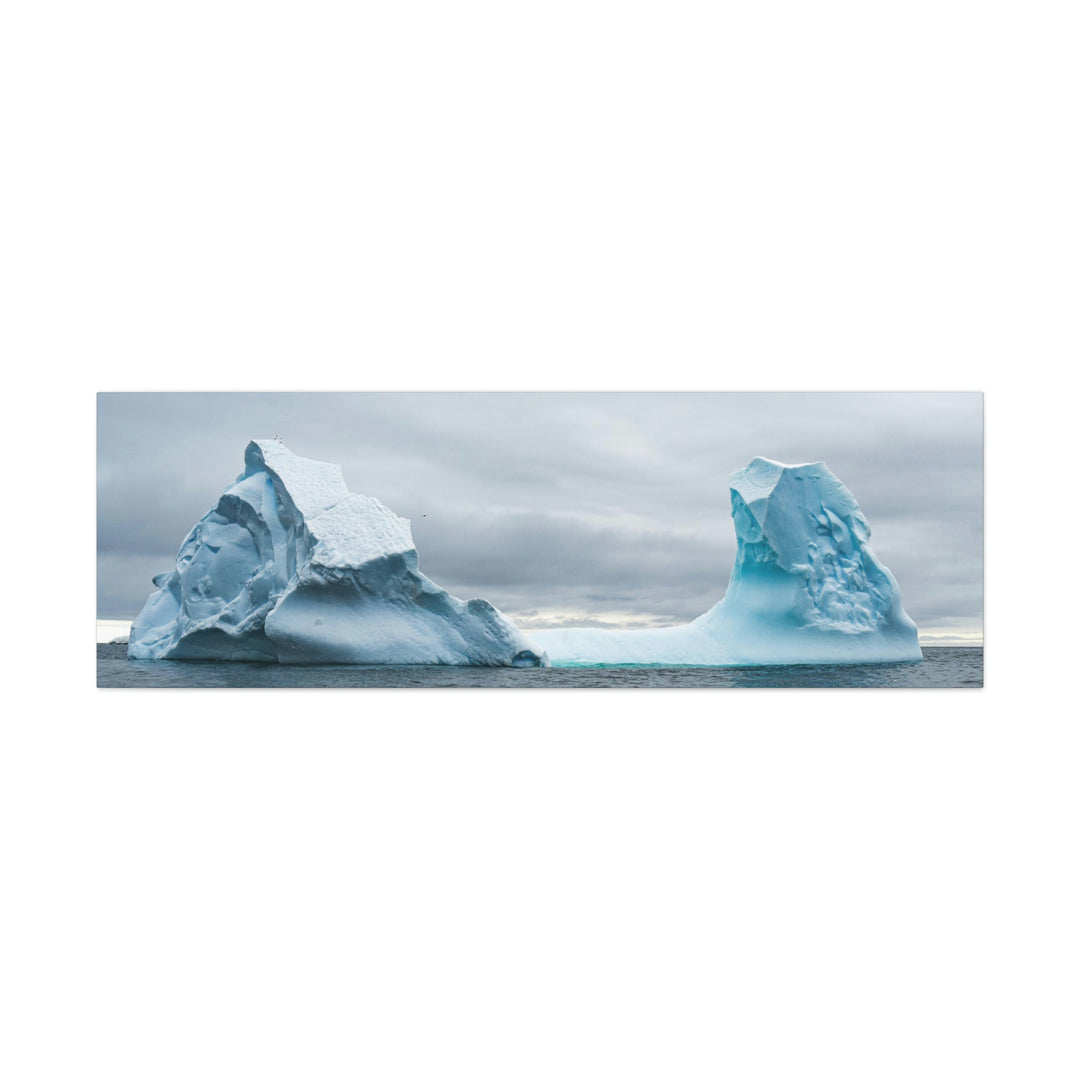 Antarctic Flight - Canvas