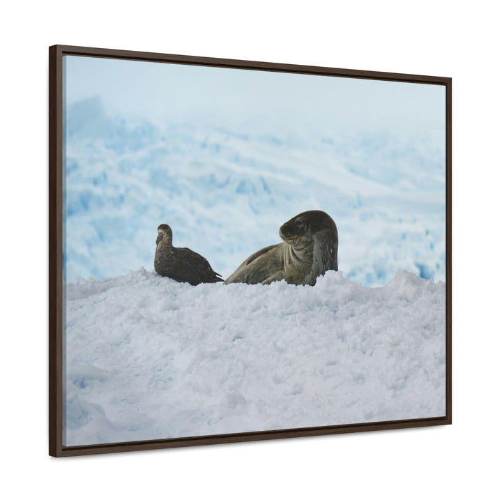 A Resting Pair - Canvas with Frame