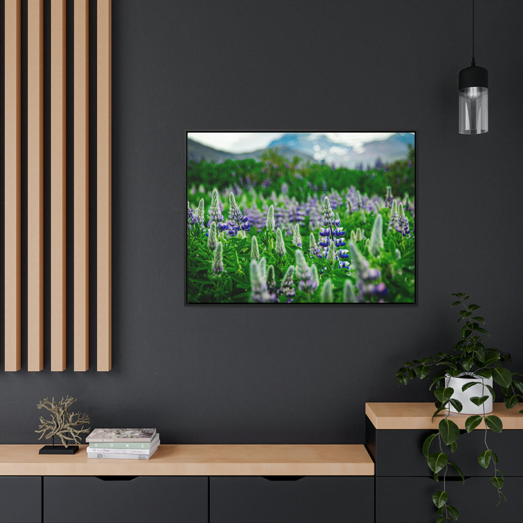 Glowing Lupin with Mountains - Canvas with Frame