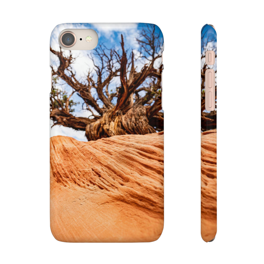 Desert Reach - Phone Case