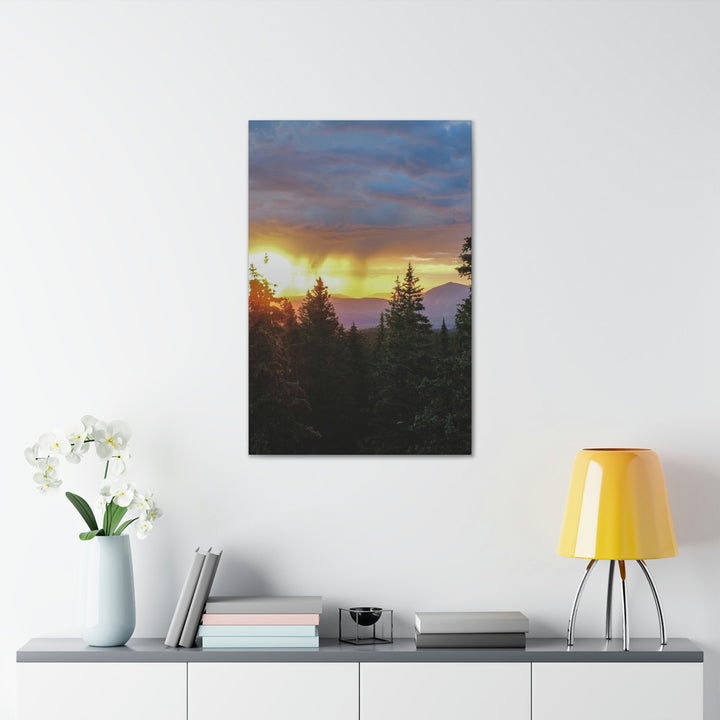 Rainy Sunset Through the Trees - Canvas