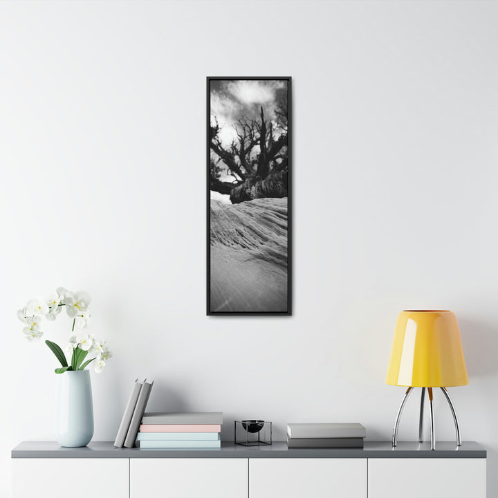 Desert Reach in Black and White - Canvas with Frame