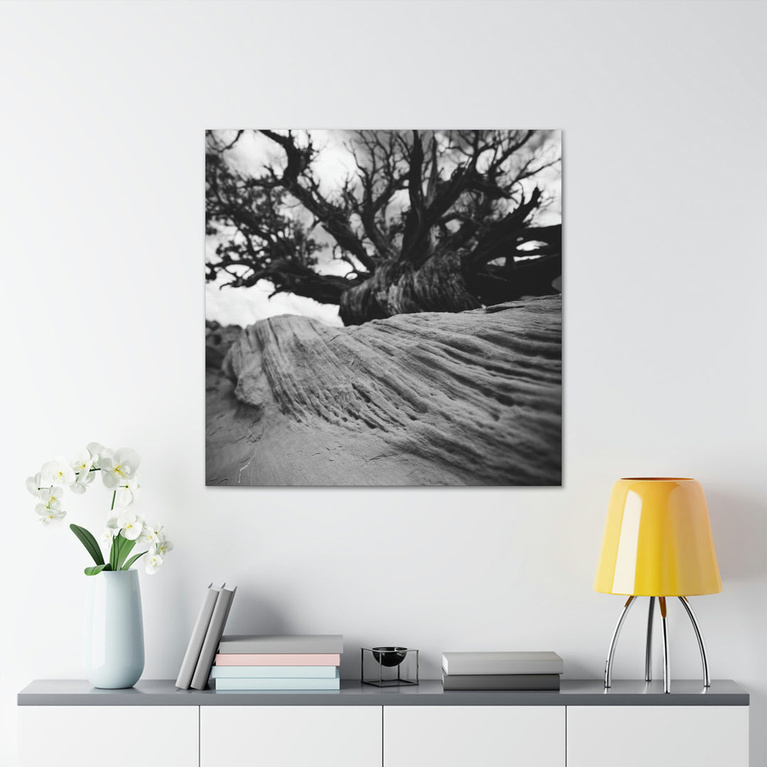 Desert Reach in Black and White - Canvas