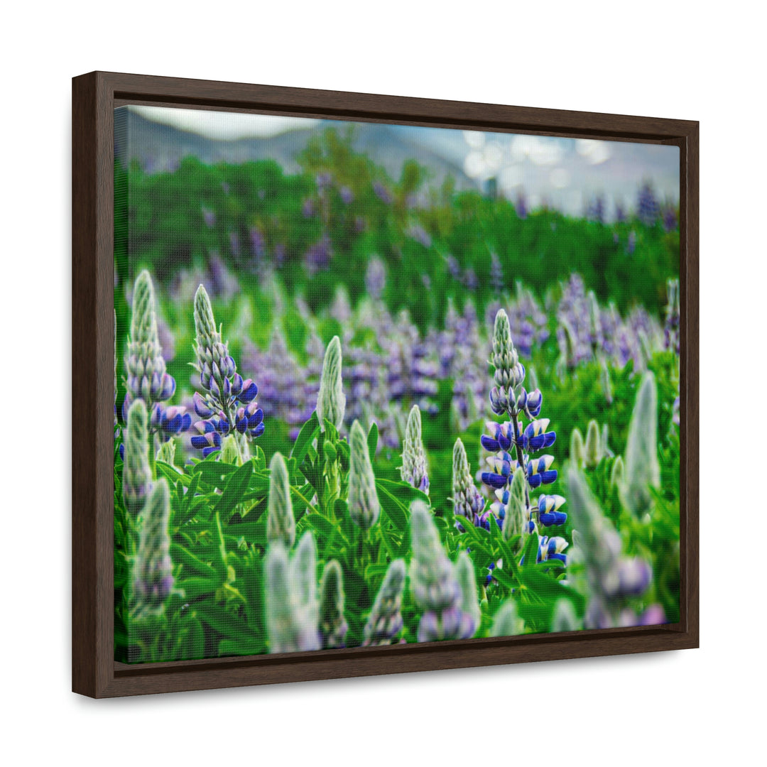 Glowing Lupin with Mountains - Canvas with Frame