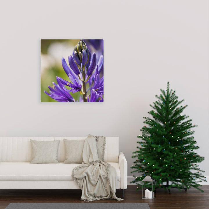 Camas in Bloom - Canvas