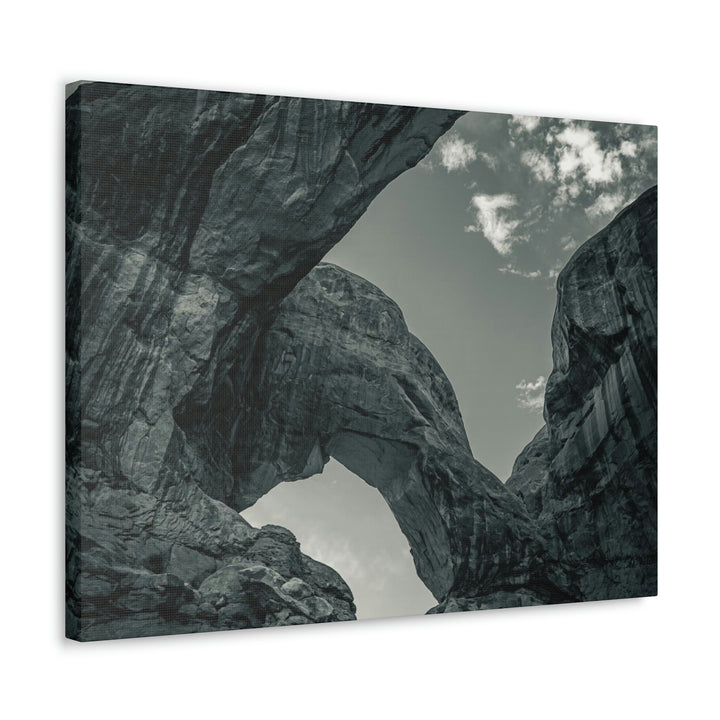 Natural Frames Part 4 in Black and White - Canvas