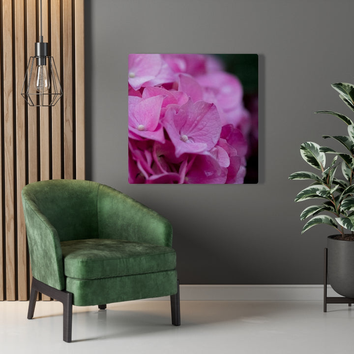 Pink Hydrangea Detail - Canvas