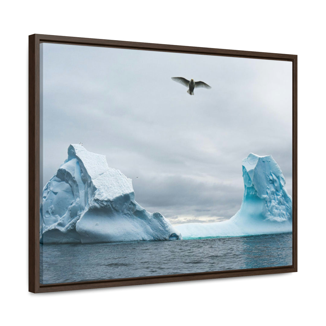 Antarctic Flight - Canvas with Frame