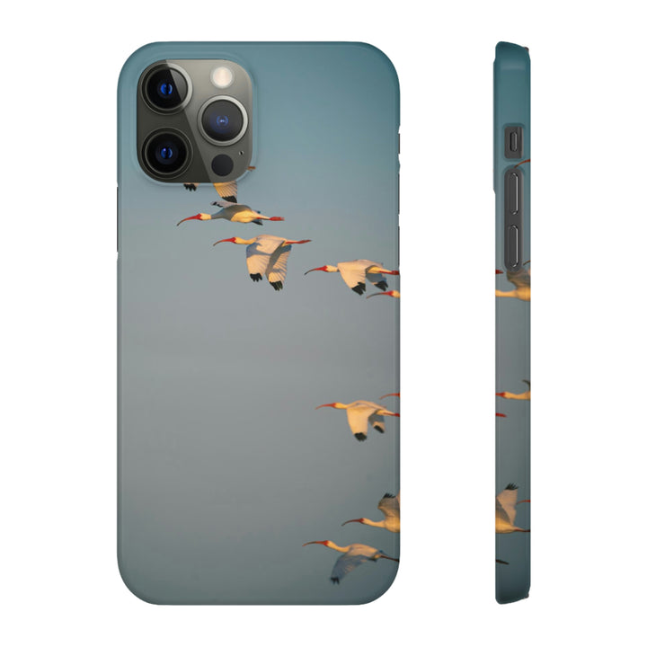 White Ibis in Flight - Phone Case