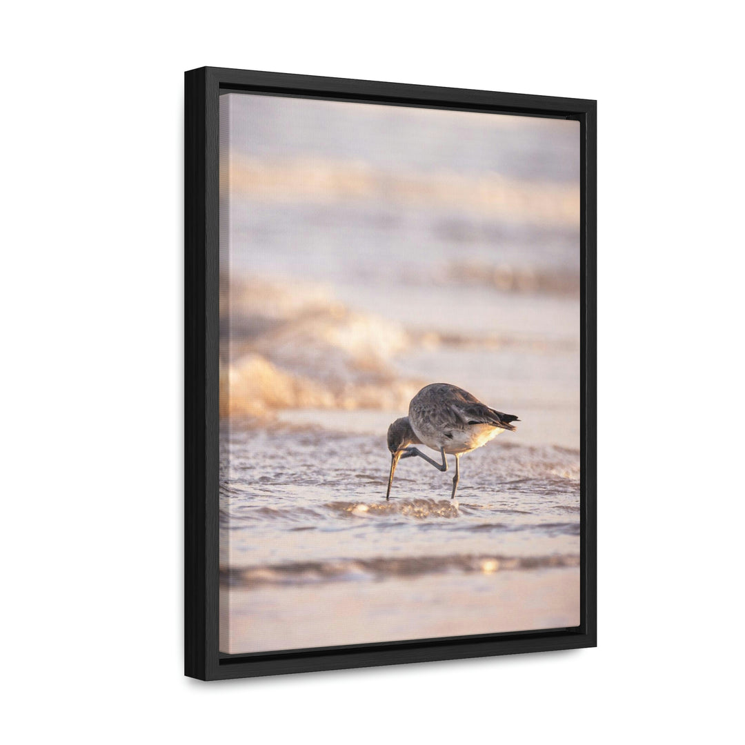 Willet Itch - Canvas with Frame