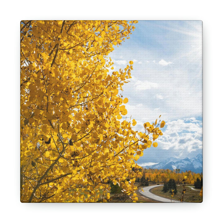 Golden Sunshine - Canvas