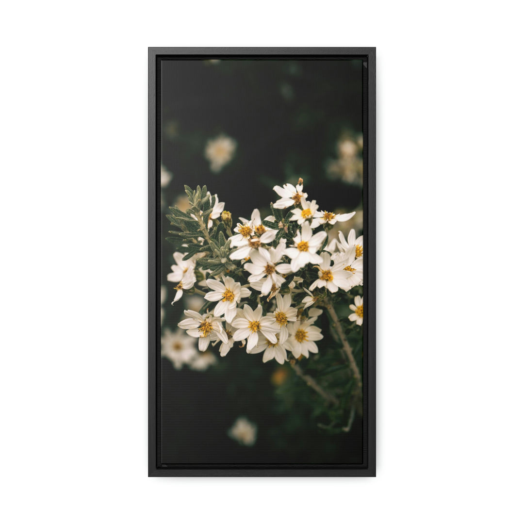 A Touch of White - Canvas with Frame