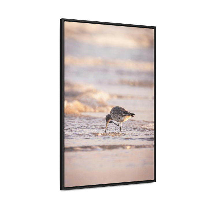 Willet Itch - Canvas with Frame