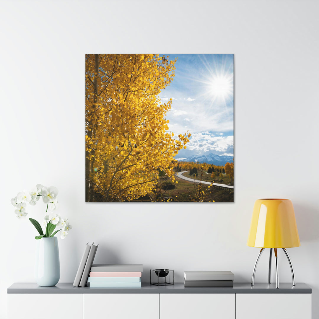 Golden Sunshine - Canvas