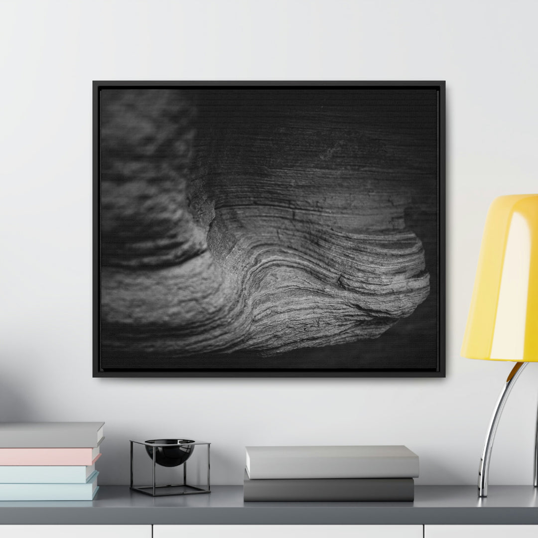 Sedimentary Rock Curves in Black and White - Canvas with Frame