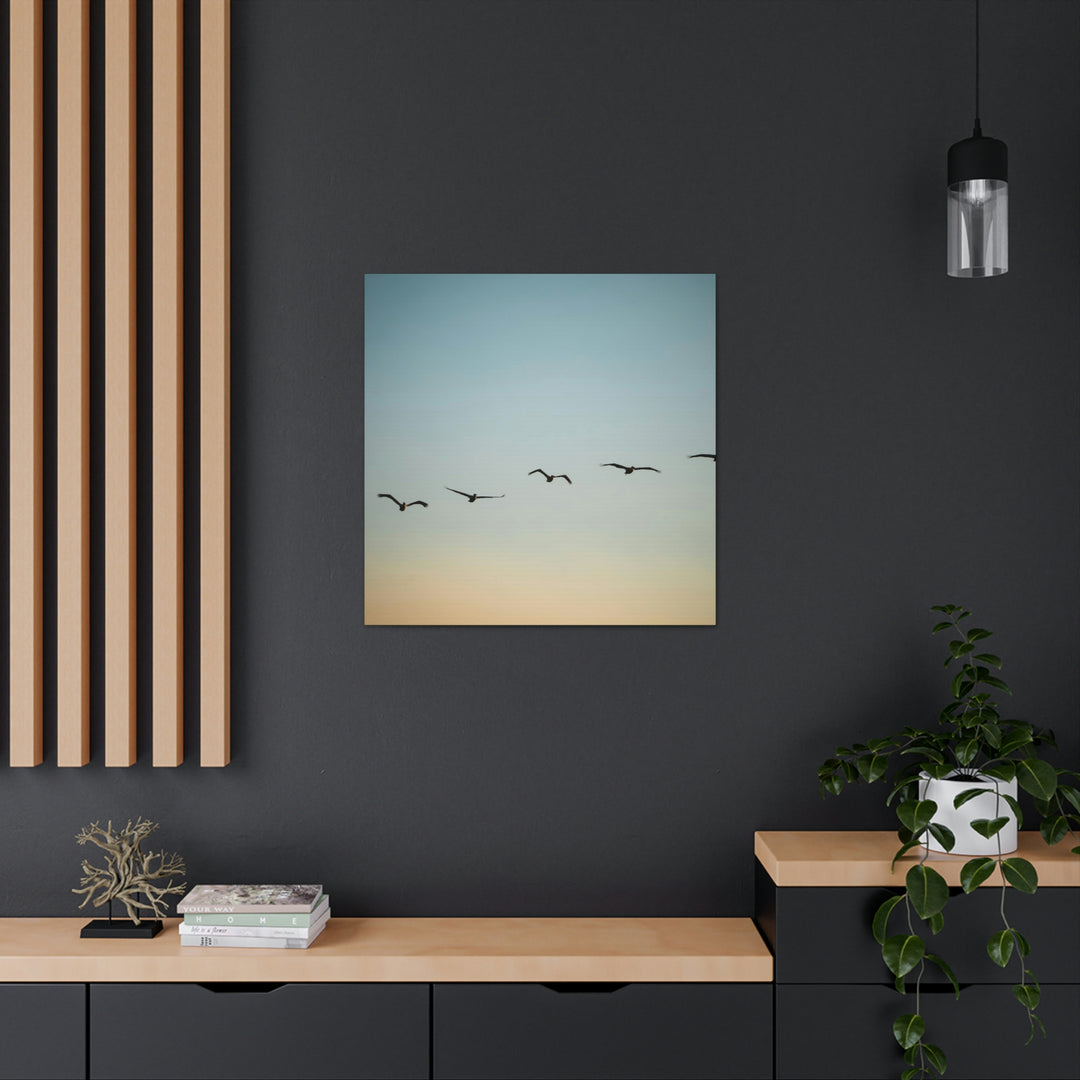 Brown Pelicans in Flight - Canvas