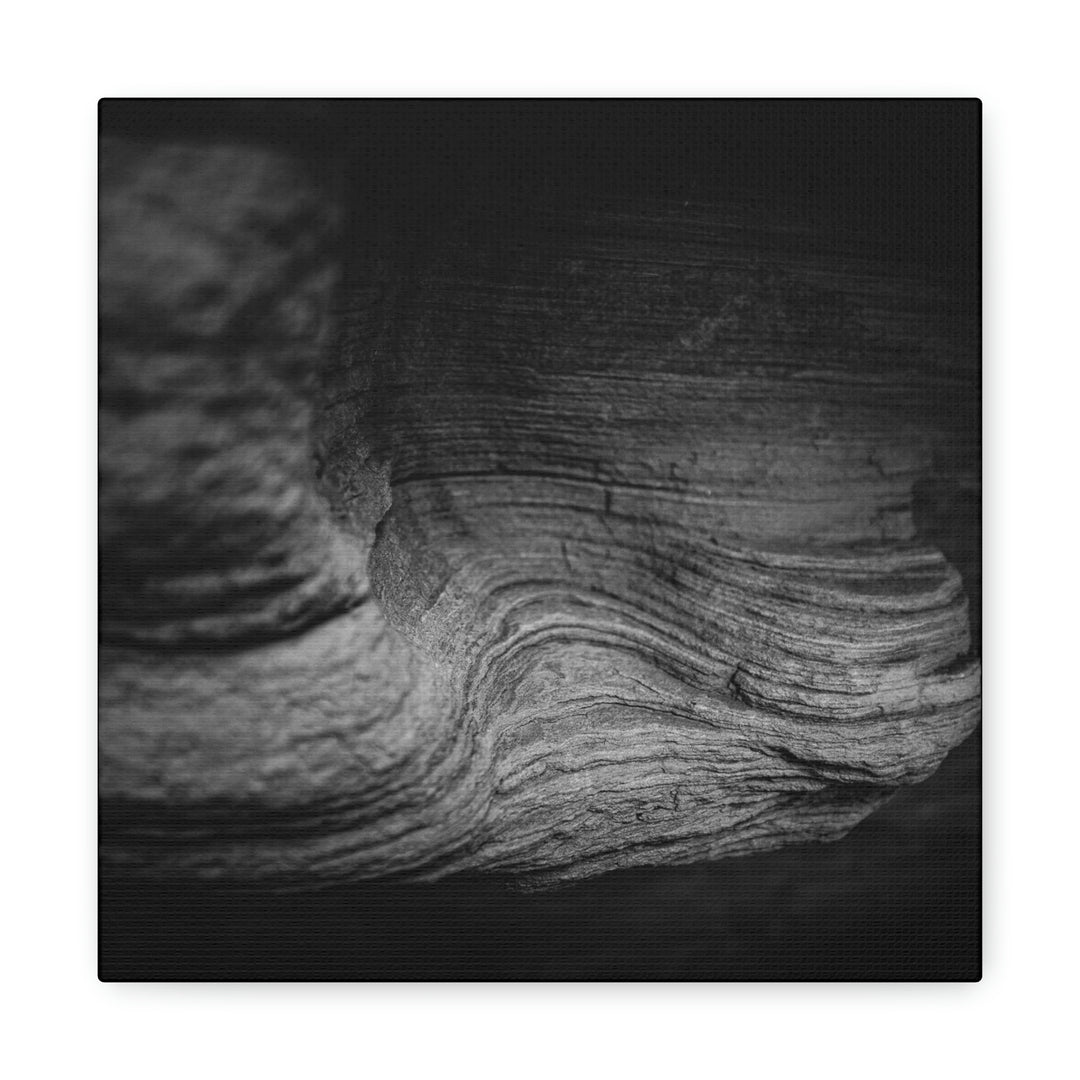 Sedimentary Rock Curves in Black and White - Canvas