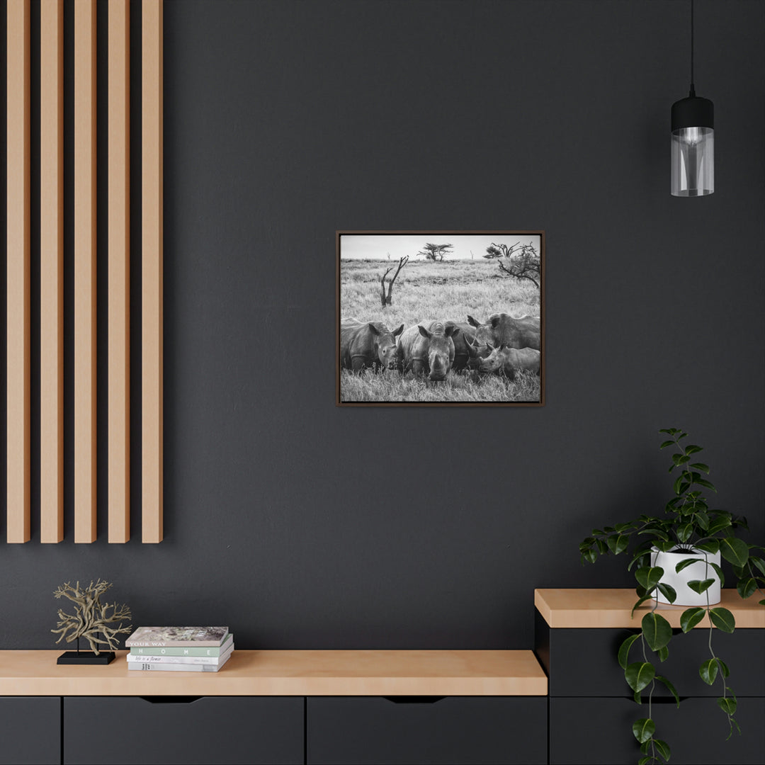 Rhino Family in Black and White - Canvas with Frame