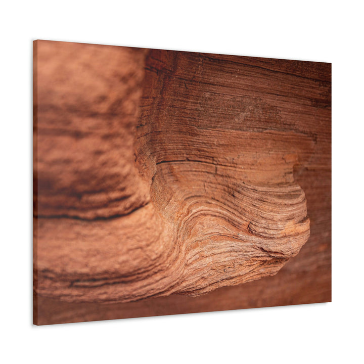 Sedimentary Rock Curves - Canvas