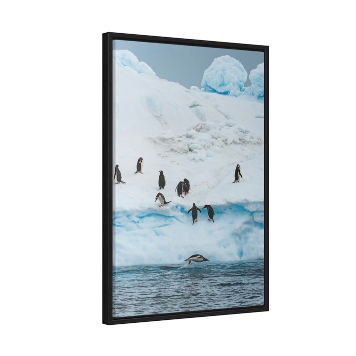 Porpoising Penguin - Canvas with Frame