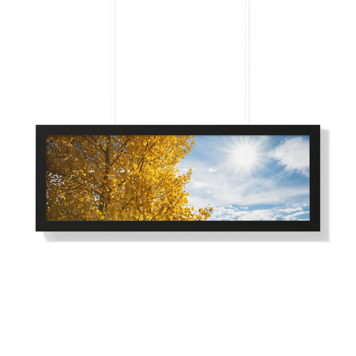 Golden Sunshine - Framed Print