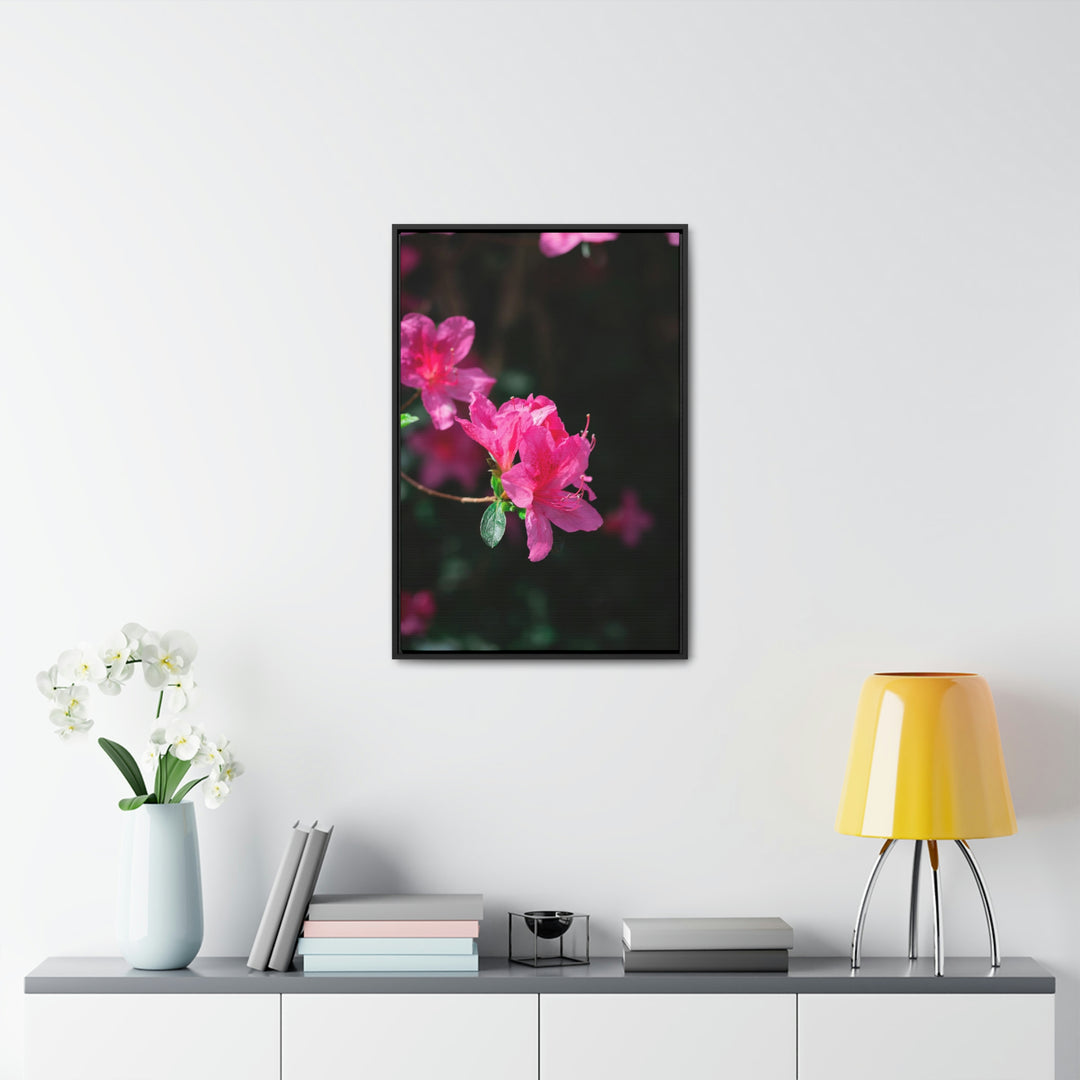 Standout Azalea - Canvas with Frame - Visiting This World