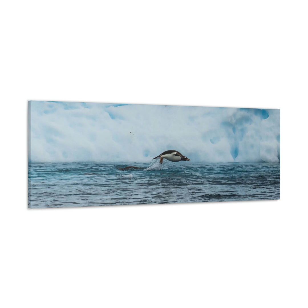 Porpoising Penguin - Canvas