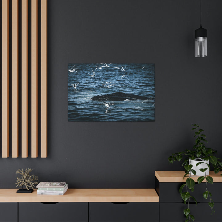 Humpback Hello - Canvas