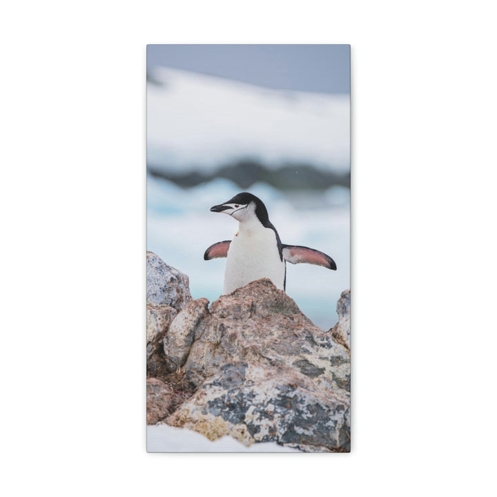 Stretched Penguin - Canvas